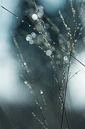 虚幻引擎5重现《上古卷轴5：天际》黑境场景效果